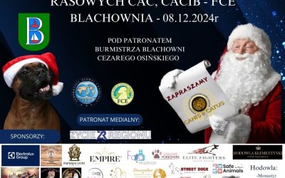 Międzynarodowa Wystawa Psów Rasowych oraz Wystawa Championów