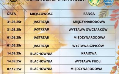 Harmonogram wystaw na 2025 rok.