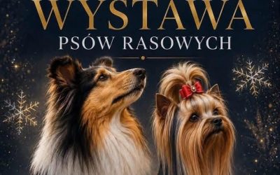 🎅 Kochani, już dziś serdecznie zapraszamy Was do&nbsp;Blachowni! 🎄